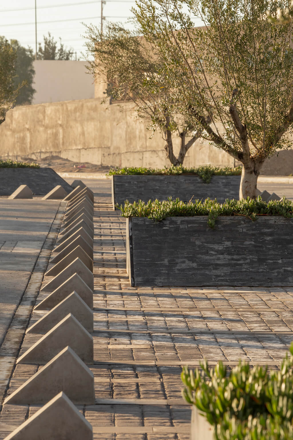 ARGENTA : Master plan